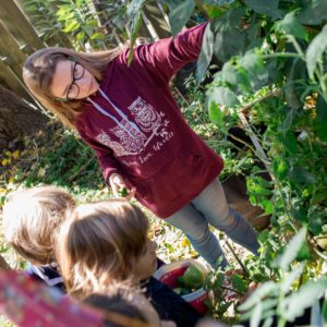 Microsubvention en agriculture urbaine