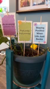 #HumainsHabitationCoopérative : Des fleurs et d’autres initiatives attentionnées à la Brittany Lane Co-op